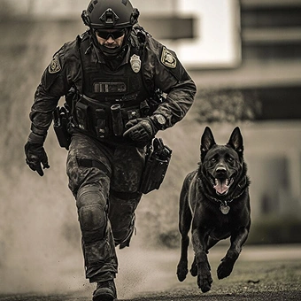 Tactical police officer in full gear running alongside a black
German Shepherd K9 unit during a mission.